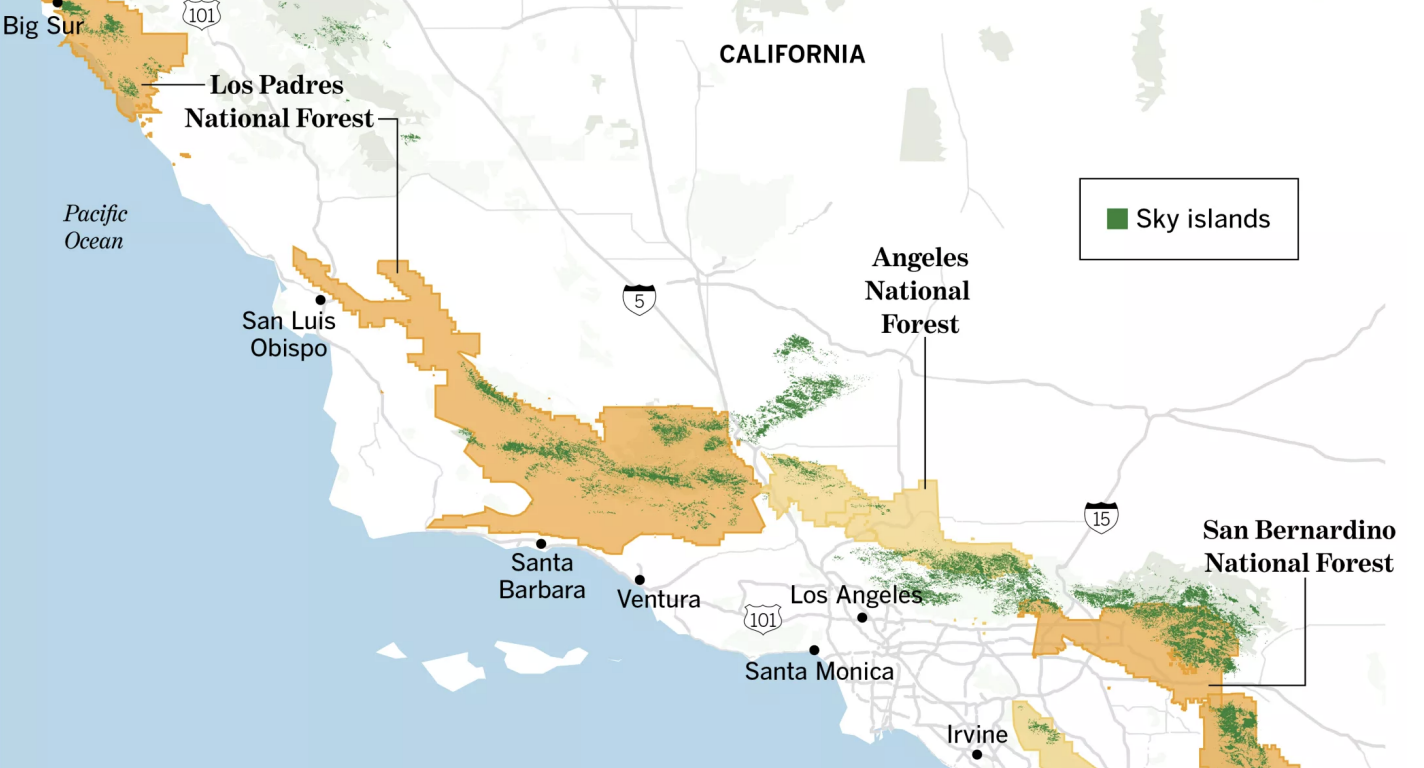 Will Southern California embrace logging of its ‘sky island’ forests?